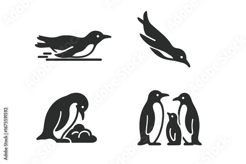 Penguin behavior solid glyph icon set. Vector pictograms of penguins sliding, diving, nesting with eggs, and family group with chick. Antarctic wildlife animal life cycle symbols.