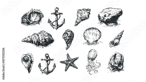 Collection of Seashells, Anchor, Starfish, and Jellyfish Sketches on Transparent Background. Vector hand drawn illustration