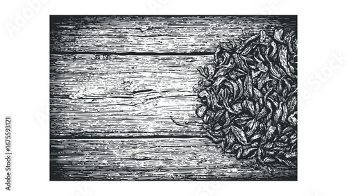Textured wood surface with a pile of organic herbs on the right side. Vector hand drawn illustration