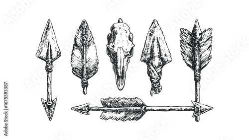 Vintage style hand-drawn collection of primitive arrows and animal skull. Vector hand drawn illustration