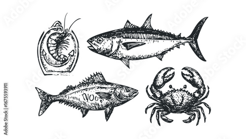 Hand Drawn Seafood Collection Featuring Fish and Crab. Vector hand drawn illustration