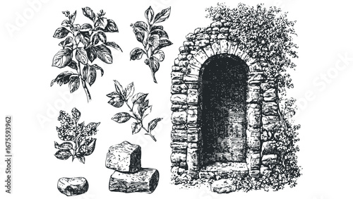 Vintage Engraving of Arched Stone Entrance with Foliage and Loose Stones. Vector hand drawn illustration