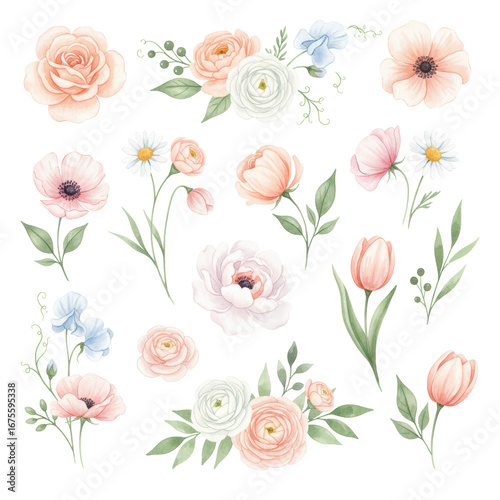 Wallpaper Mural Watercolor floral elements set - bright peach color, white, pink, blue flowers, rose, Torontodigital.ca