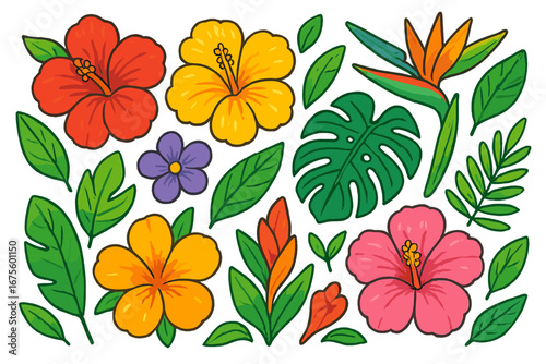 Tropical flowers set vector illustration. Cartoon hibiscus, monstera leaf, bird of paradise. Exotic floral collection. Hand drawn summer botanical elements for design. Isolated.