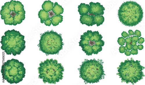 Tree, canopy, top view, foliage, greenery, nature, plant, garden, park, landscape, botanical, aerial, deciduous, evergreen, coniferous, arbor, vegetation, leaf, flat, vector illustration