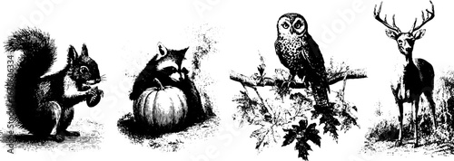 Autumn forest wildlife engraving with squirrel, raccoon, owl, and deer for vintage design projects
