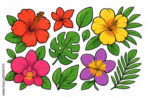 Set of colorful tropical flowers and leaves. Vector cartoon illustration of exotic hibiscus, plumeria, monstera, and orchid. Isolated jungle floral design elements for summer.