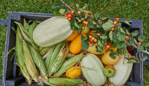 Wallpaper Mural An old wooden village cart with a harvest of zucchini, corn, apples Torontodigital.ca