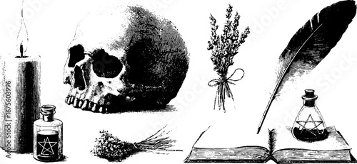 Vintage engraving elements collection featuring candle, skull, quill, lavender, and ancient book for retro design