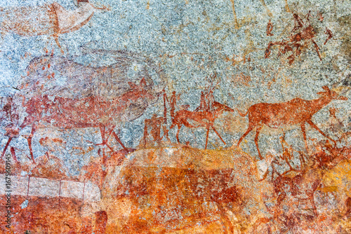 Nswatugi Cave friezes of giraffes, elephants and kudu in Matobo Hills National Park of Zimbabwe, a world heritage site