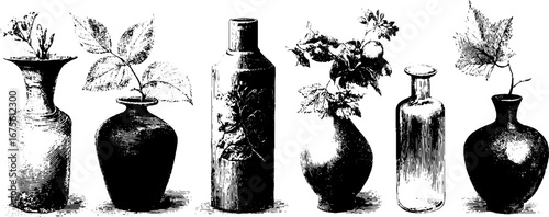 Vintage engraving design elements collection of vases with floral decorations for art and decor