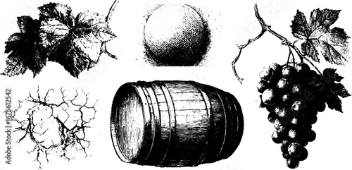 Vineyard elements collection: barrel, grapes, leaves, and earth illustrations for design and decoration