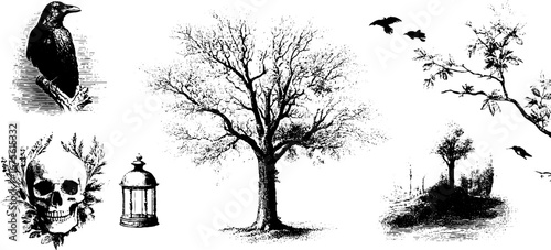 Enigmatic haunted forest collection with twisted trees and mystical elements for design