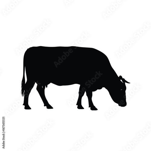 Vector illustration of silhouette of a cow grazing in a field