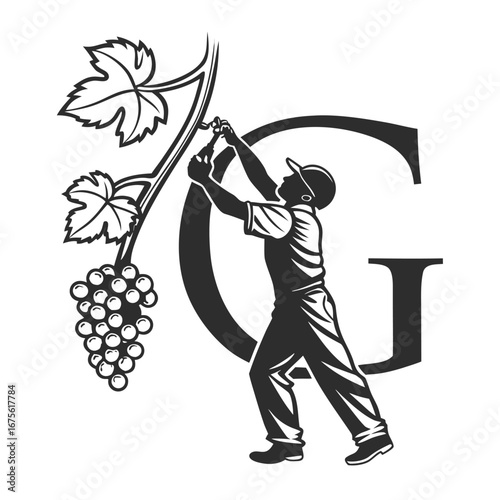 Grape Harvesting Man with G Logo Symbol Vector Illustration for Vineyard Branding and Wine Production Design Concepts