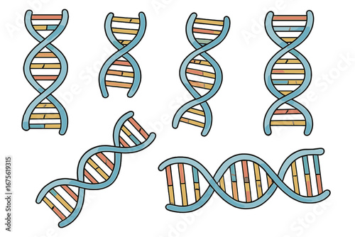 Multiple DNA Double Helix Illustrations in Various Orientations, Cartoon Vector Style, Science and Biology Molecular Structure, Transparent Background, Set of 3