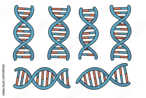 Multiple DNA Double Helix Illustrations Showing Varying Orientations and Structures on Plain Background, Vector Cartoon Style, Science and Genetics Concept, Transparent Background