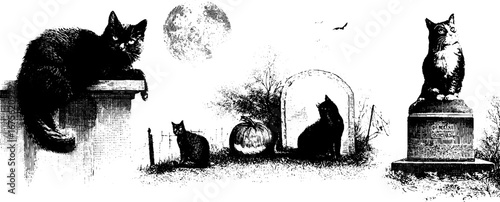 Halloween black cats in vintage engraving design elements for autumn decorations