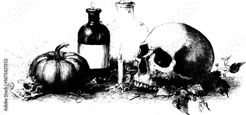 Halloween still life with skull, pumpkin, and bottles - vintage engraving design for decor