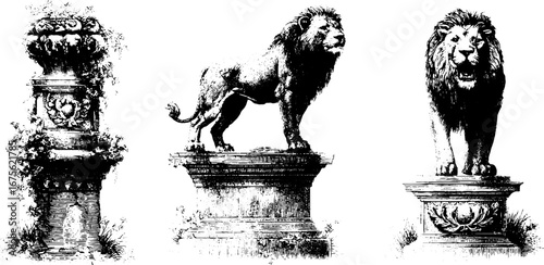Vintage engraved lion statue design elements for artistic projects