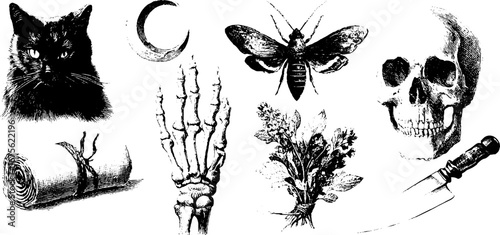 Occult grunge elements collection: vintage engraved cat, skeleton, knife, and nature designs