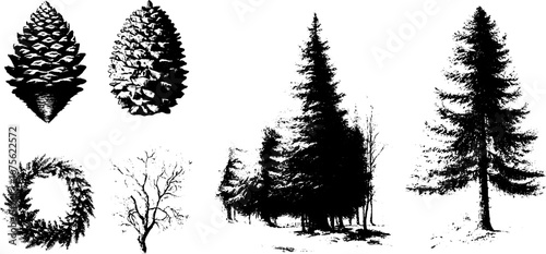 Vintage pine tree engraving elements - collection of natural silhouettes for design