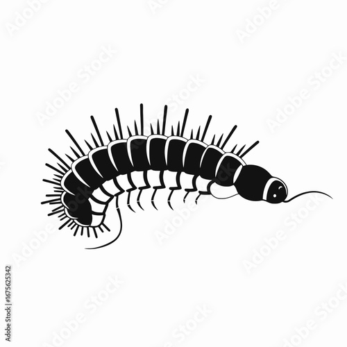 Striking black and white millipede, a crawling creature silhouette
