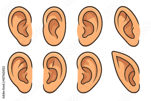 Various Ear Illustrations Showcasing Diverse Ear Shapes and Angles for Creative Design Purposes, Vector Cartoon Style with Transparent Background