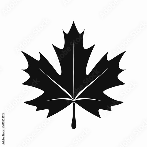 Black and white maple leaf vector graphic art design silhouette