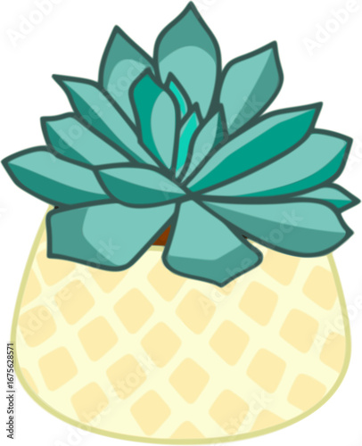 Echeveria Succulent illustration - Green botanical design for floral  pattern, branding, nature, gardening and decorative plant design projects
