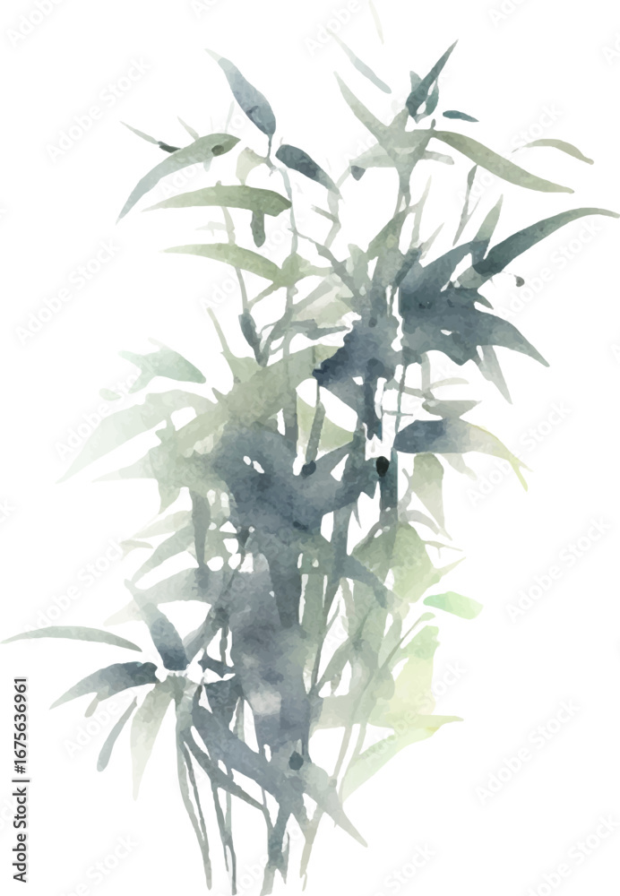Fototapeta premium Vector watercolor painted bamboo. Hand drawn flower design elements isolated on white background.