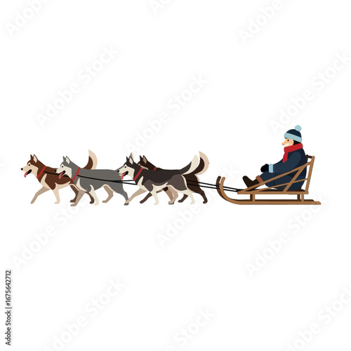A person in a sled pulled by a team of huskies against a black background.