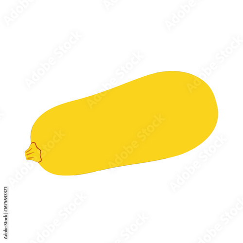 Simple, vibrant illustration of a bright yellow squash against a dark background.