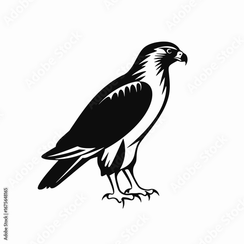 Elegant stylized falcon illustration, a majestic bird of prey standing silhouette