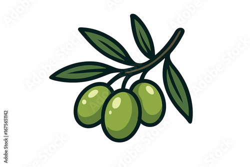 Olive branch with green olives vector illustration. Healthy food concept for extra virgin oil packaging. Mediterranean diet symbol. Natural organic agricultural product icon.
