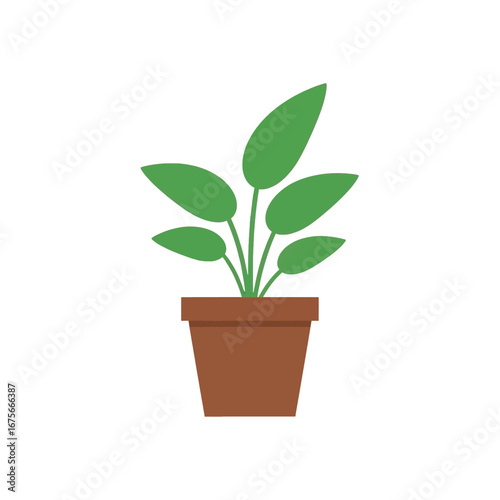 A simple, stylized illustration of a houseplant in a terracotta pot against a black background.