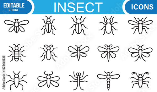 Outline insect icons set for biology, nature, forest creatures, and entomology illustrations