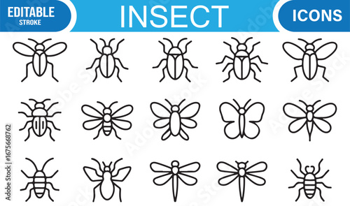 Editable stroke entomology icons collection of insects including beetle, ant, and dragonfly