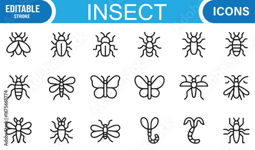 Minimal outline insect icons set with bug, worm, fly, mosquito, spider, and butterfly symbols