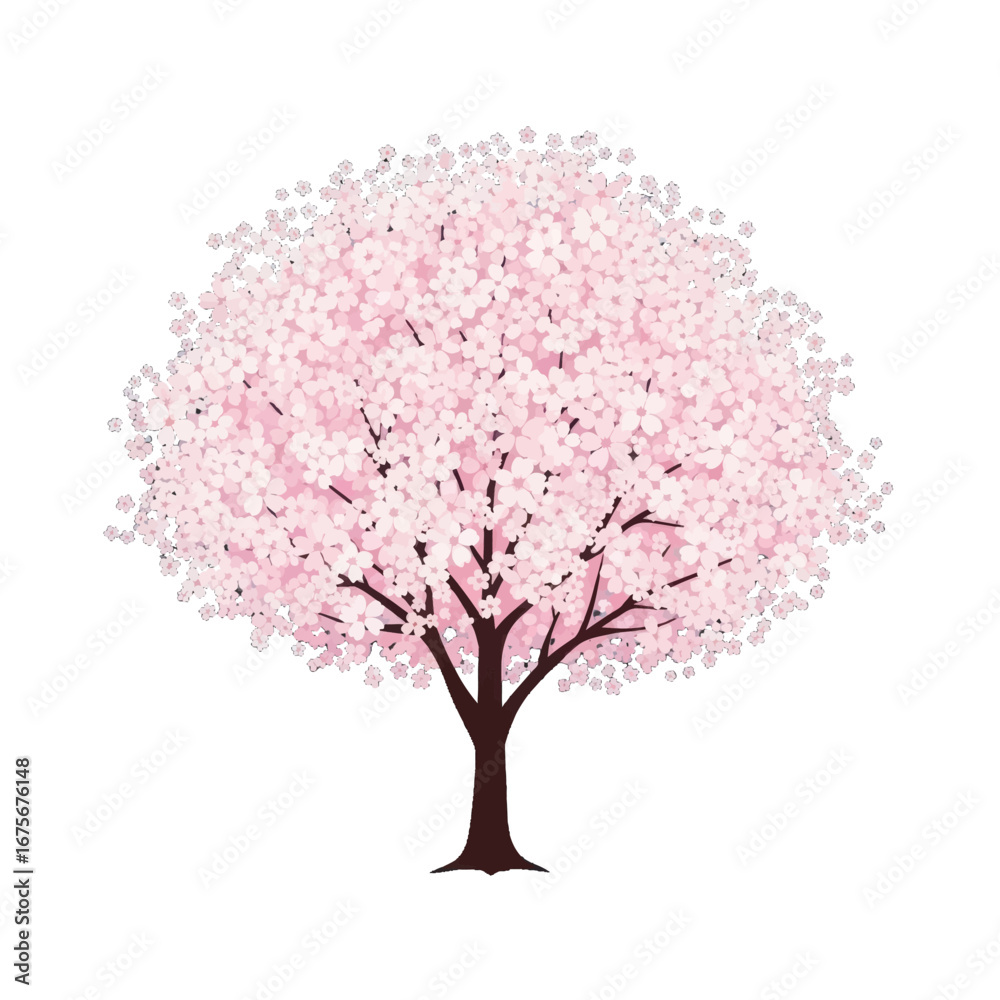 Fototapeta premium A springtime cherry blossom tree, full of delicate pink flowers, stands out against a bold black backdrop.