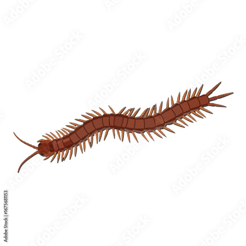 A detailed illustration of a reddish-brown centipede-like creature, set against a stark black background, with its segmented body and spiky protrusions clearly depicted.