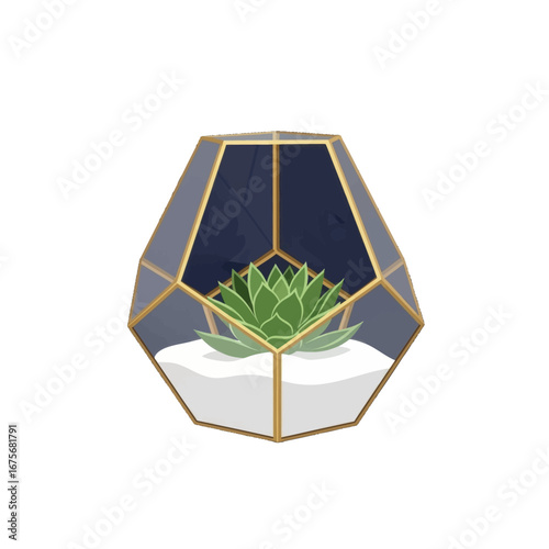 Geometric glass terrarium showcasing a succulent plant, featuring a dark navy interior and gold frame, against a bold black backdrop.