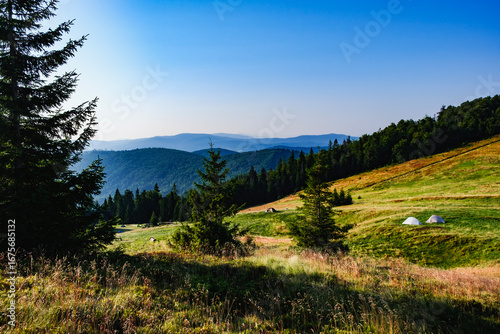 Fototapeta Naklejka Na Ścianę i Meble -  Wędrówka po Beskidzie Żywieckim
