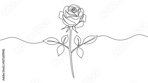 Continuous Line Drawing of Rose with Stem, Minimalist Vector Illustration
