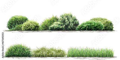 A beautifully illustrated set of four deciduous trees, Architectural Drawings, Minimal style cad tree line drawing, trees architecture and landscaping model texture vector design on whit  background. 