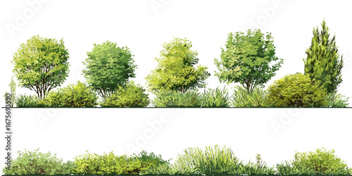 Green Bushes and Trees Vector Set – Realistic Foliage Collection for Landscape Design on White Background
