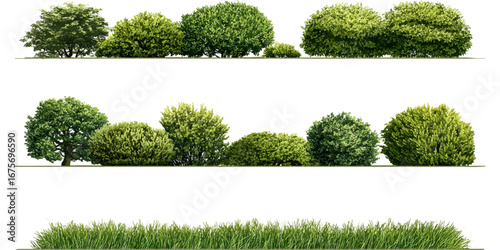 Contour of tall coniferous trees, set of beautiful  Bushes and Shrubs Vector Set – Realistic Green Plants and Grass Isolated for Landscape Design Illustration  on transparent background 