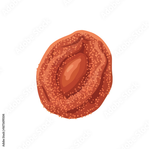 A detailed illustration of a sun-dried plum, showcasing its textured surface and central seed.