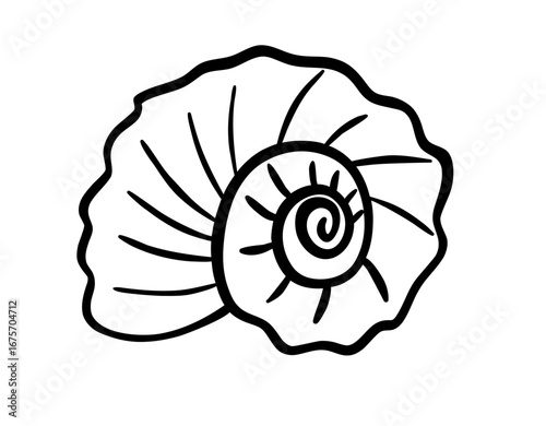 Sea Snail Shell Outline