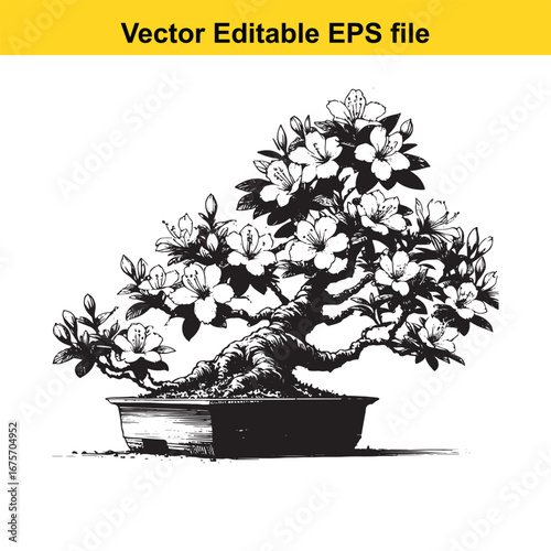 Detailed illustration of a blooming bonsai tree in a pot, isolated on white background